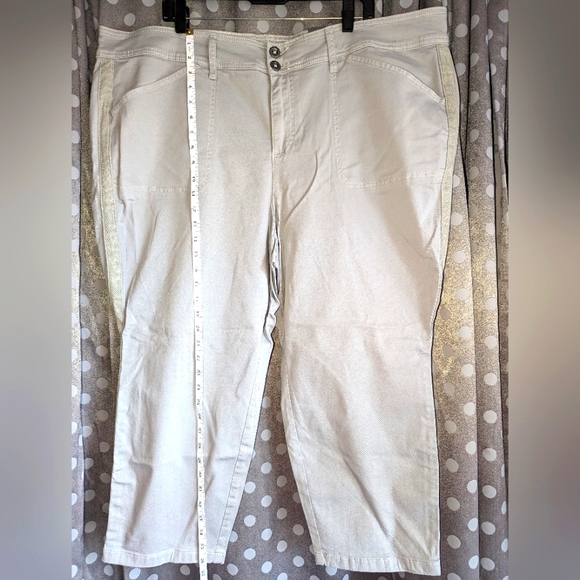 Torrid Skinny Mid-Rise Crop Jeans 26 - Picture 4 of 15